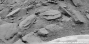 La prima immagine della storia dalla superficie di Venere