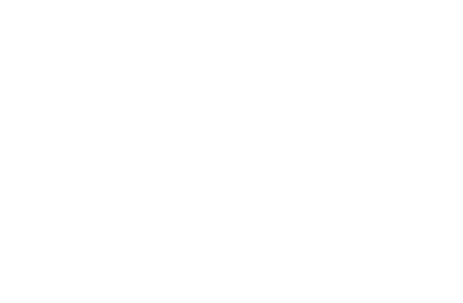 Logo INFN