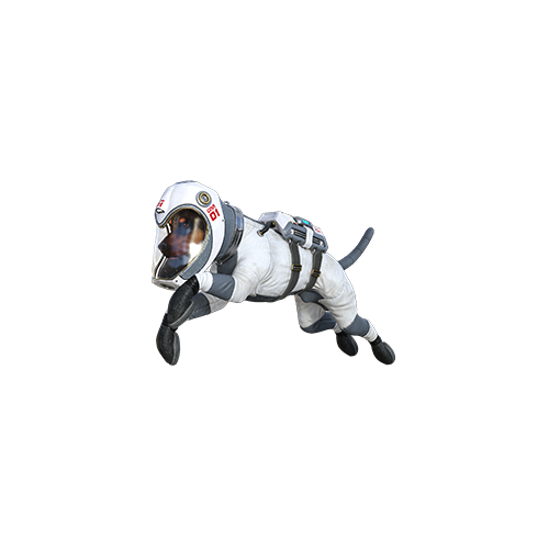 Cane astronauta