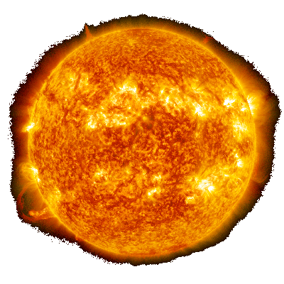 Sole