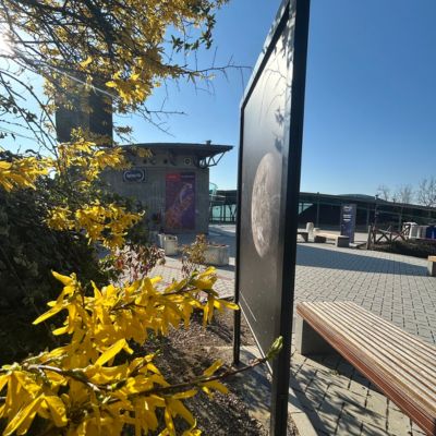 ingresso planetario torino